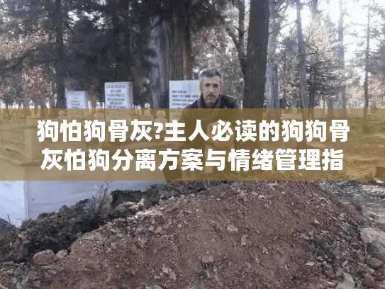 狗怕狗骨灰?主人必读的狗狗骨灰怕狗分离方案与情绪管理指南