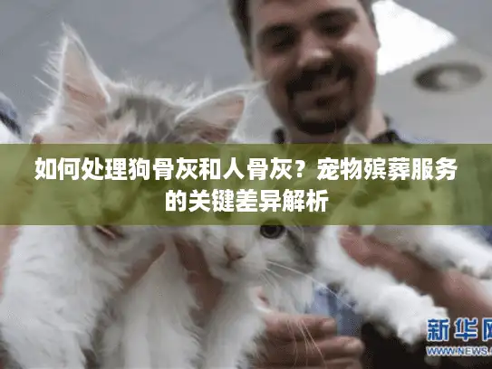 如何处理狗骨灰和人骨灰？宠物殡葬服务的关键差异解析
