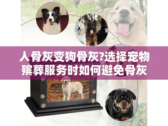 人骨灰变狗骨灰?选择宠物殡葬服务时如何避免骨灰调包悲剧
