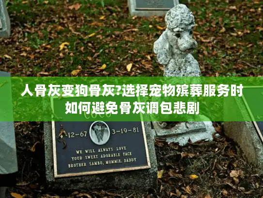 人骨灰变狗骨灰?选择宠物殡葬服务时如何避免骨灰调包悲剧