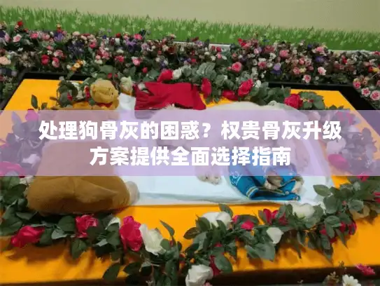 处理狗骨灰的困惑？权贵骨灰升级方案提供全面选择指南