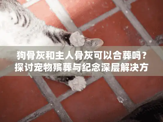 狗骨灰和主人骨灰可以合葬吗？探讨宠物殡葬与纪念深层解决方案
