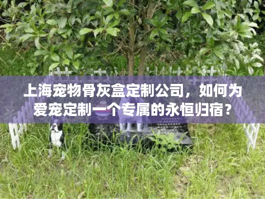 上海宠物骨灰盒定制公司，如何为爱宠定制一个专属的永恒归宿？