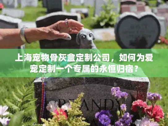 上海宠物骨灰盒定制公司，如何为爱宠定制一个专属的永恒归宿？