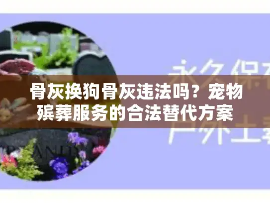 骨灰换狗骨灰违法吗？宠物殡葬服务的合法替代方案