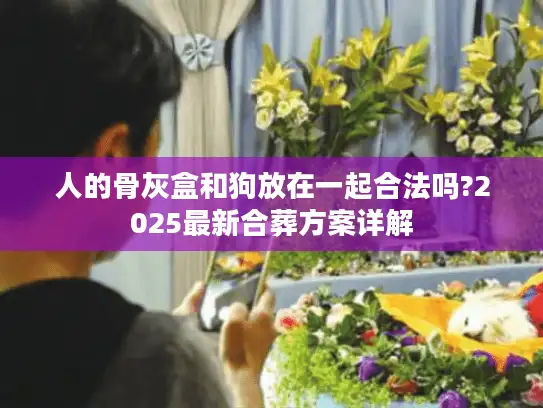人的骨灰盒和狗放在一起合法吗?2025最新合葬方案详解