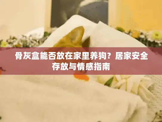 骨灰盒能否放在家里养狗？居家安全存放与情感指南