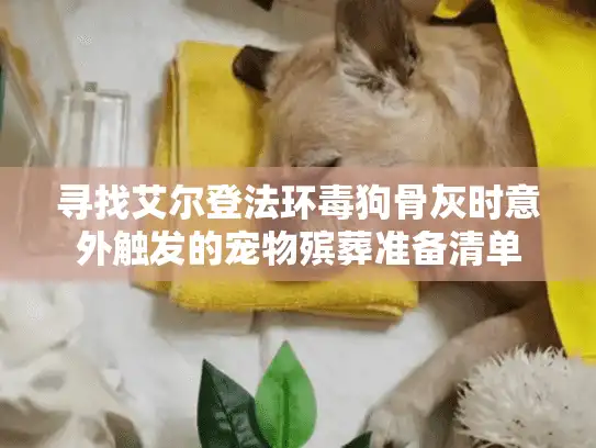 寻找艾尔登法环毒狗骨灰时意外触发的宠物殡葬准备清单