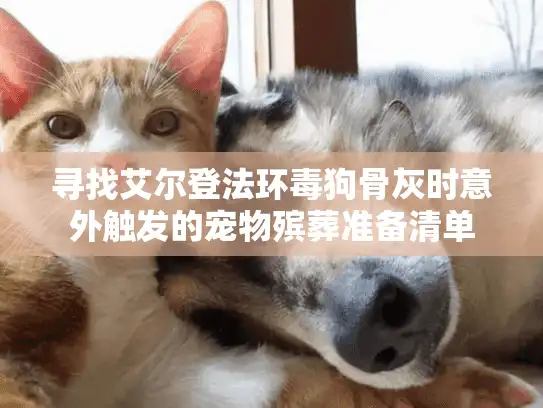 寻找艾尔登法环毒狗骨灰时意外触发的宠物殡葬准备清单