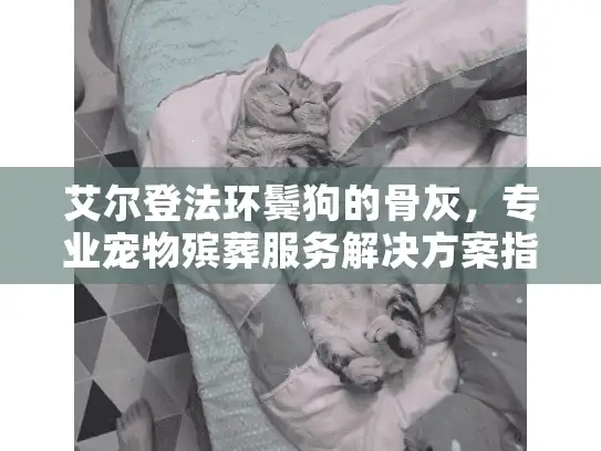 艾尔登法环鬓狗的骨灰，专业宠物殡葬服务解决方案指南