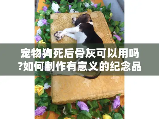 宠物狗死后骨灰可以用吗?如何制作有意义的纪念品
