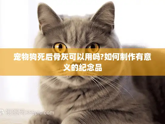 宠物狗死后骨灰可以用吗?如何制作有意义的纪念品