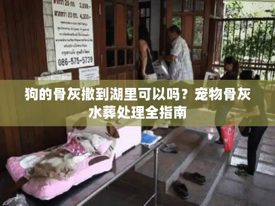 狗的骨灰撒到湖里可以吗？宠物骨灰水葬处理全指南