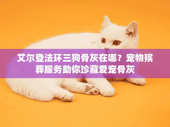 艾尔登法环三狗骨灰在哪？宠物殡葬服务助你珍藏爱宠骨灰