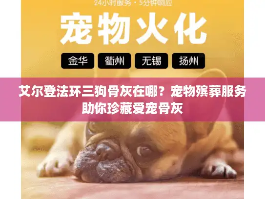 艾尔登法环三狗骨灰在哪？宠物殡葬服务助你珍藏爱宠骨灰