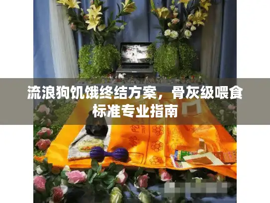 流浪狗饥饿终结方案，骨灰级喂食标准专业指南