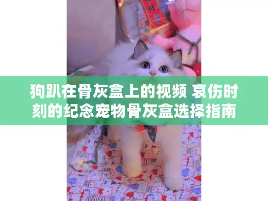 狗趴在骨灰盒上的视频 哀伤时刻的纪念宠物骨灰盒选择指南