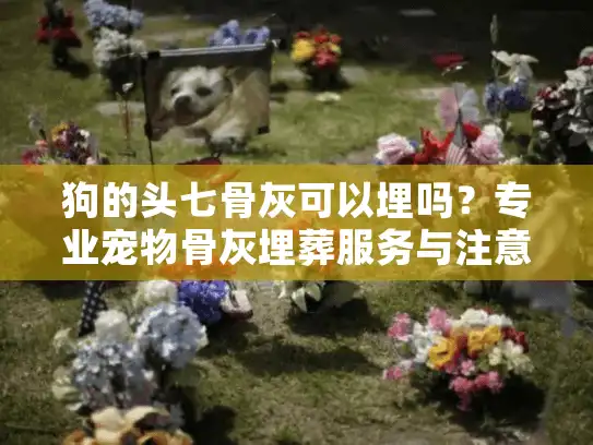 狗的头七骨灰可以埋吗？专业宠物骨灰埋葬服务与注意事项解析