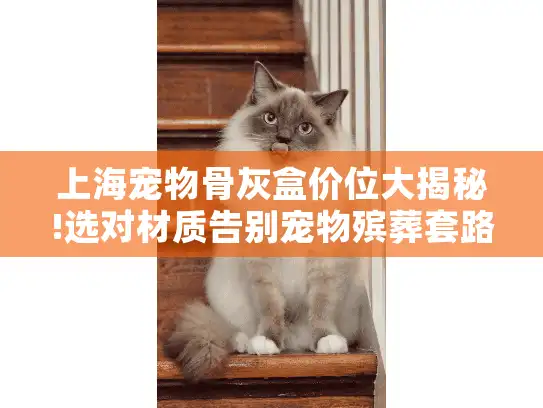 上海宠物骨灰盒价位大揭秘!选对材质告别宠物殡葬套路花费