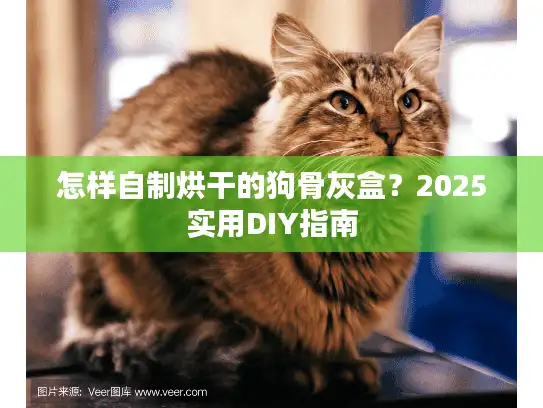 怎样自制烘干的狗骨灰盒？2025实用DIY指南