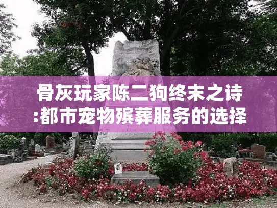 骨灰玩家陈二狗终末之诗:都市宠物殡葬服务的选择智慧