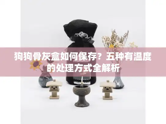 狗狗骨灰盒如何保存？五种有温度的处理方式全解析