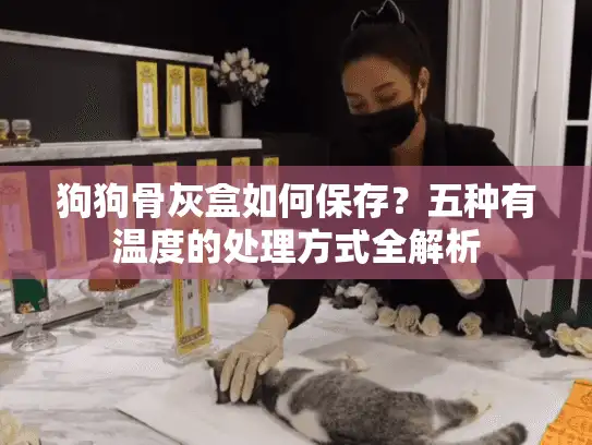 狗狗骨灰盒如何保存？五种有温度的处理方式全解析