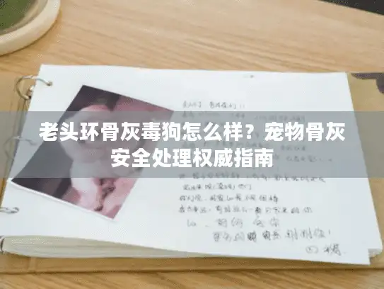 老头环骨灰毒狗怎么样？宠物骨灰安全处理权威指南