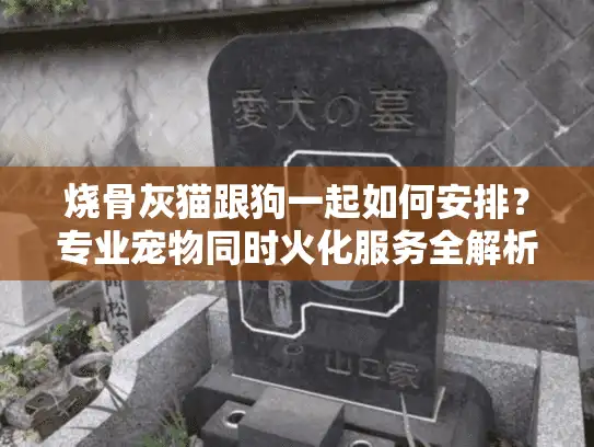 烧骨灰猫跟狗一起如何安排？专业宠物同时火化服务全解析
