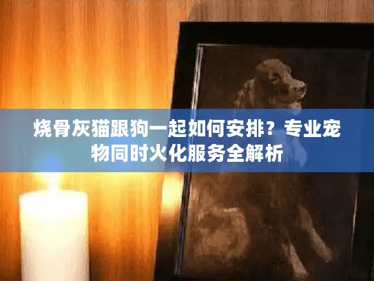 烧骨灰猫跟狗一起如何安排？专业宠物同时火化服务全解析