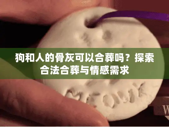狗和人的骨灰可以合葬吗？探索合法合葬与情感需求