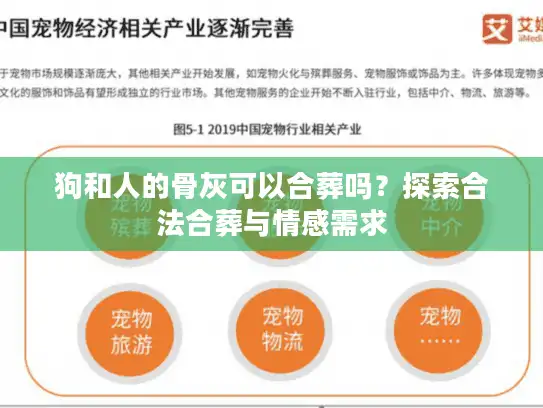 狗和人的骨灰可以合葬吗？探索合法合葬与情感需求