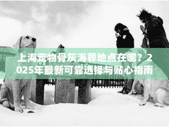 上海宠物骨灰海葬地点在哪？2025年最新可靠选择与贴心指南
