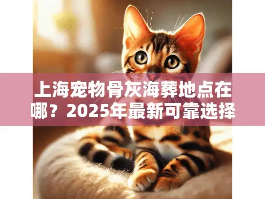 上海宠物骨灰海葬地点在哪？2025年最新可靠选择与贴心指南