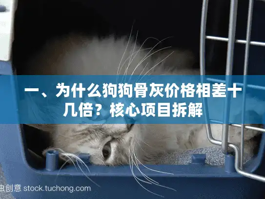 一、为什么狗狗骨灰价格相差十几倍？核心项目拆解