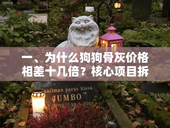 一、为什么狗狗骨灰价格相差十几倍？核心项目拆解