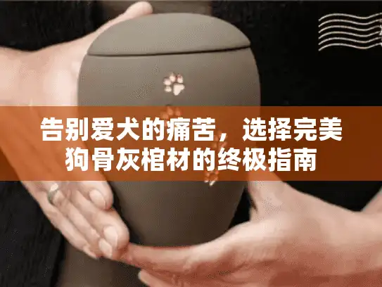 告别爱犬的痛苦，选择完美狗骨灰棺材的终极指南