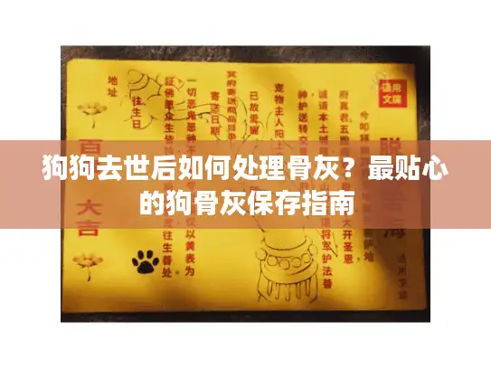 狗狗去世后如何处理骨灰？最贴心的狗骨灰保存指南