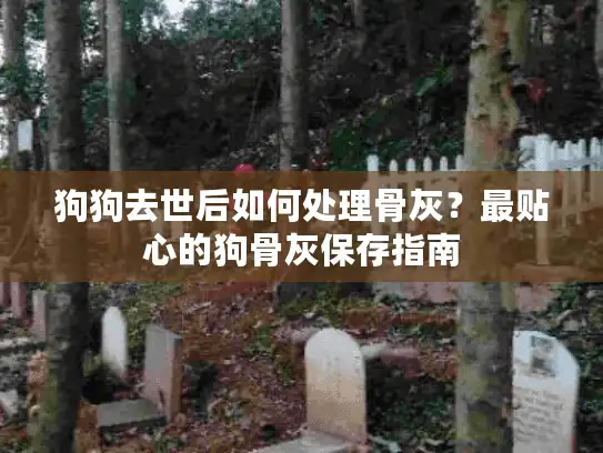 狗狗去世后如何处理骨灰？最贴心的狗骨灰保存指南