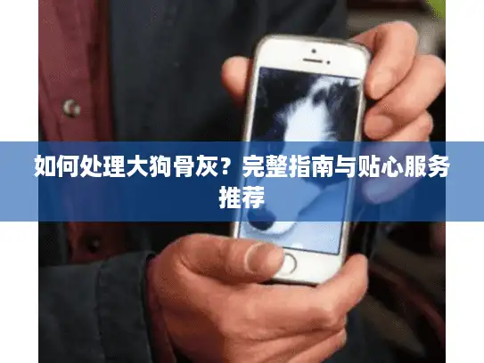 如何处理大狗骨灰？完整指南与贴心服务推荐