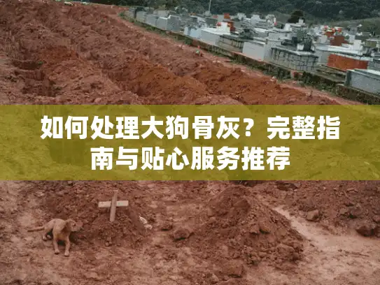 如何处理大狗骨灰？完整指南与贴心服务推荐