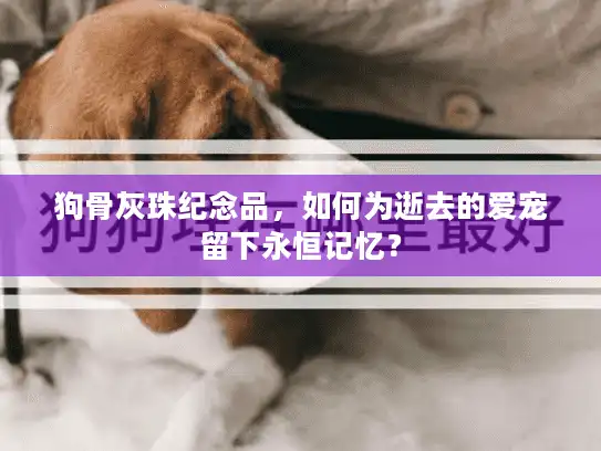 狗骨灰珠纪念品，如何为逝去的爱宠留下永恒记忆？