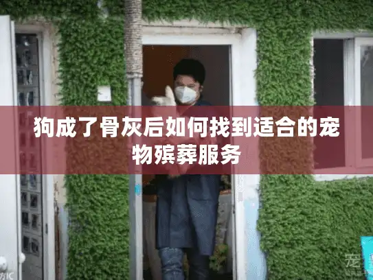 狗成了骨灰后如何找到适合的宠物殡葬服务