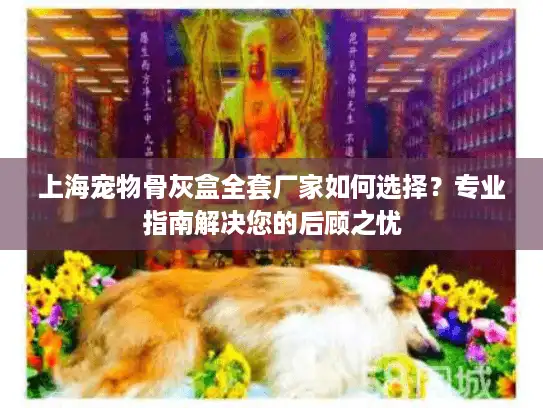 上海宠物骨灰盒全套厂家如何选择？专业指南解决您的后顾之忧