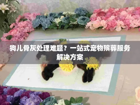 狗儿骨灰处理难题？一站式宠物殡葬服务解决方案