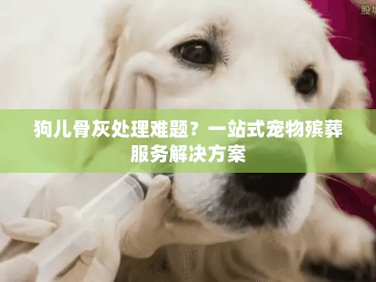 狗儿骨灰处理难题？一站式宠物殡葬服务解决方案