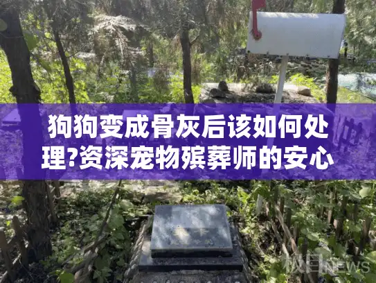 狗狗变成骨灰后该如何处理?资深宠物殡葬师的安心送别指南