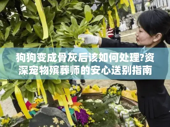 狗狗变成骨灰后该如何处理?资深宠物殡葬师的安心送别指南