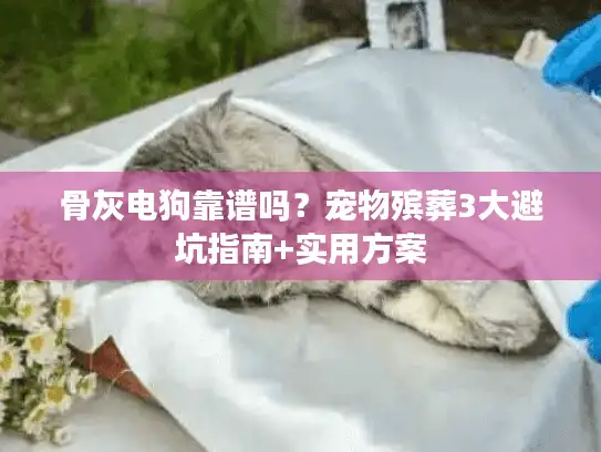 骨灰电狗靠谱吗？宠物殡葬3大避坑指南+实用方案