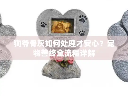 狗爷骨灰如何处理才安心？宠物善终全流程详解